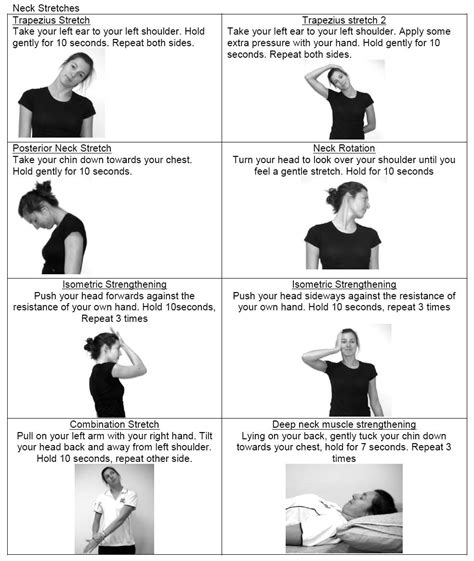 Muscle Exercises: Neck Muscle Exercises Pdf