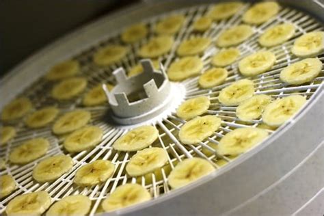 How to Dry Fruit Using a Dehydrator - fANNEtastic food