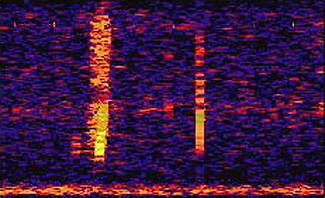 APOD: 2010 April 27 - The Bloop: A Mysterious Sound from the Deep Ocean