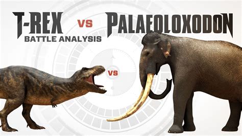 T-REX vs PALAEOLOXODON | Battle FACEOFF Analysis - YouTube