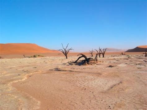 10 Facts about Desert Climate | Fact File