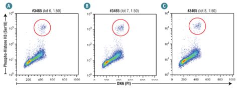 Antibody Validation for Flow Cytometry | CST