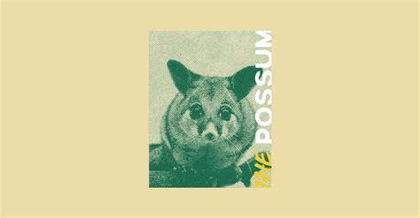 Fat Possum Orchestra on Behance