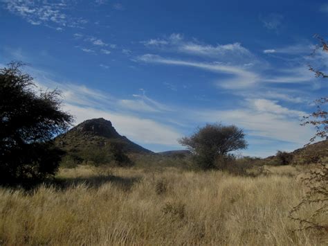 Download free photo of Veld,grass,trees,nature,scenery - from needpix.com