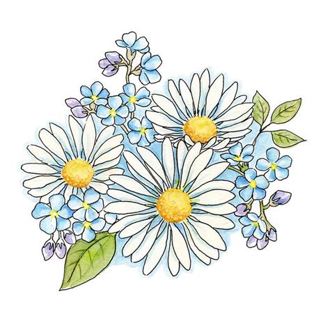 Daisy bouquet Watercolor Hand painted clipart Digital | Etsy