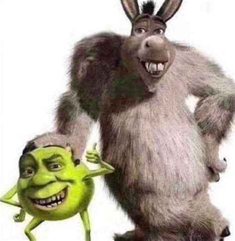 donkey and shrek | Shrek, Shrek memes, Shrek funny