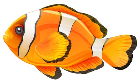 Clownfish Clip art - fish png download - 2904*1697 - Free Transparent ...