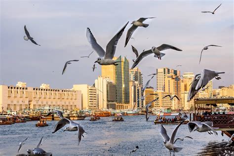 A guide to Deira area in Dubai | Visit Dubai