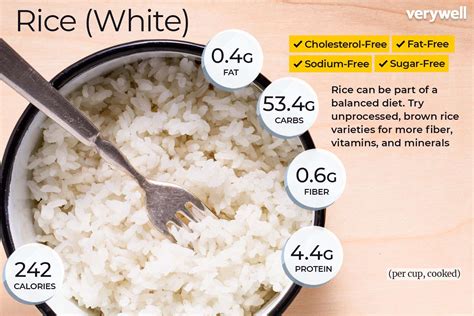 How Much is One Cup of Rice? - PostureInfoHub