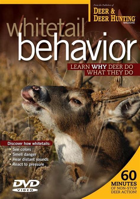 Whitetail Behavior DVD from Deer & Deer Hunting TV - Raysthesteaks