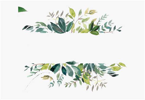 Watercolor Clipart Leaves - Watercolor Leaf Border Png , Free ...