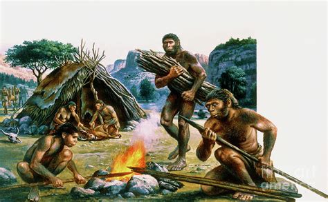 Homo Erectus Hunting