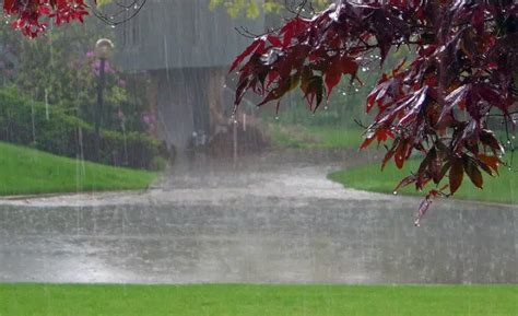 Qué es Lluvia - Definición, Significado y Concepto 2018