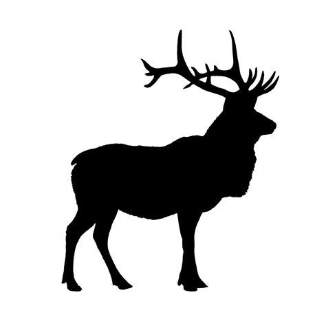 download free images and Illustrations : Illustration of elk moose deer ...