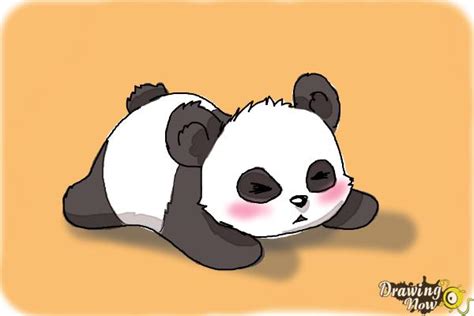 Cute Panda Cartoon Drawing