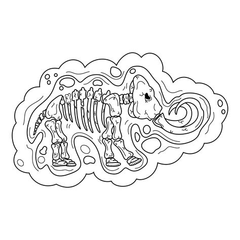 Mammoth fossil line art 11674601 Vector Art at Vecteezy