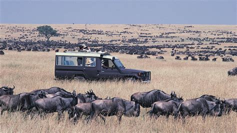 Maasai Mara National Reserve | Kenya Safari Destinations