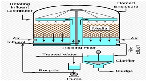 What is trickling filters explain - Netsol Water