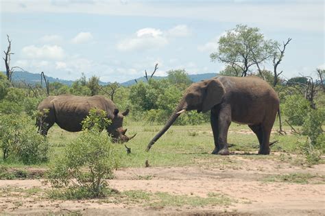 Swaziland – Travel Guide and Travel Info | Tourist Destinations