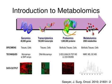 PPT - A Metabolomic Approach to the Identification of Cancer Biomarkers ...