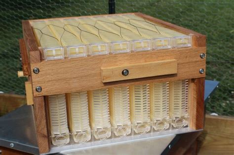 DIY FLOW Beehive Box Plans - Langstroth 10-Frame - Beekeeping DIY Hive ...