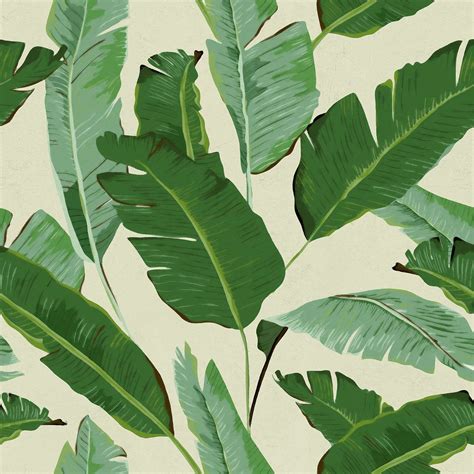 MindtheGap Banana Leaves Wallpaper WP20111 | Leaf wallpaper, Banana ...