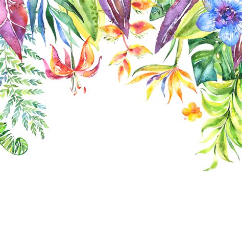 Tropical border png, Tropical border png Transparent FREE for download ...