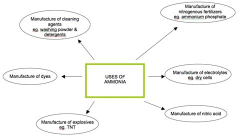 10 Interesting Facts about Ammonia | 10 Interesting Facts