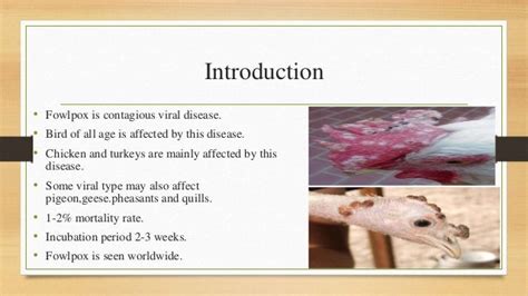 Fowl pox and treatment