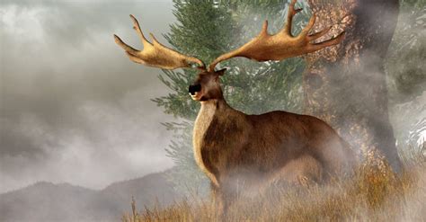 When Did the Irish Elk Go Extinct? - Wiki Point