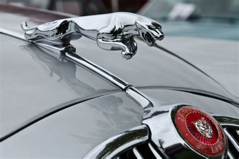 Hood Ornaments on Modern Jaguars: Look Before You Leap(er)? - JaguarForums