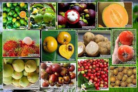 Agri chief: “Buy, promote local fruits” | Official Portal of the ...