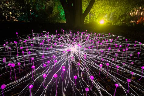 Mycelium Network - Custom Fibre Optics