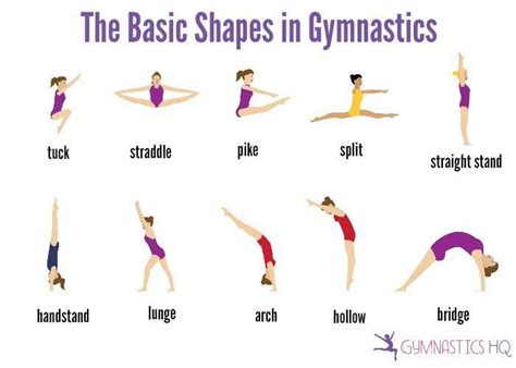 The Basic Shapes in Gymnastics | Gymnastics workout, Gymnastics lessons ...