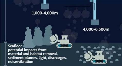 Infographic: environmental impacts of deep-sea mining - Seas At Risk