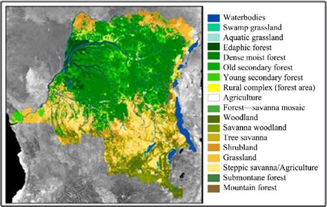 Congo Jungle Map