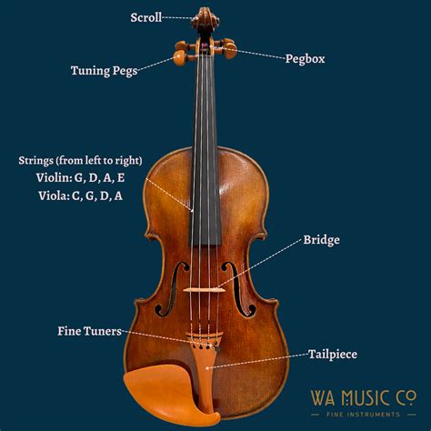 How to Tune Your String Instrument - WA Music Co