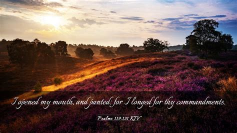 Psalms 119:131 KJV Desktop Wallpaper - I opened my mouth, and panted ...