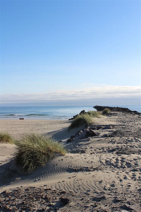 Sand Dunes On The Beach Free Stock Photo - Public Domain Pictures