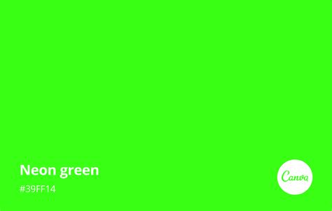 Neon Green Meaning, Combinations and Hex Code