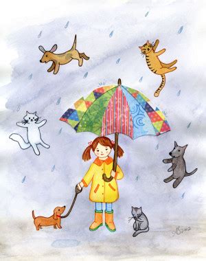 Raining Cats And Dogs Quotes. QuotesGram