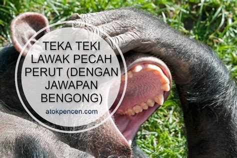 Teka Teki Lawak Pecah Perut (Dan Jawapan Bengong)