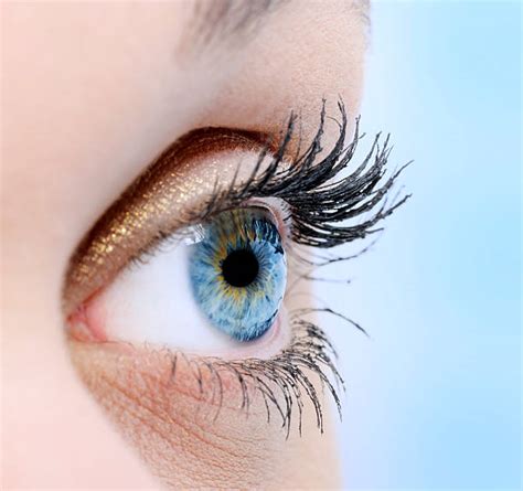 Human Eye Close Up Eyeball Side View Stock Photos, Pictures & Royalty ...