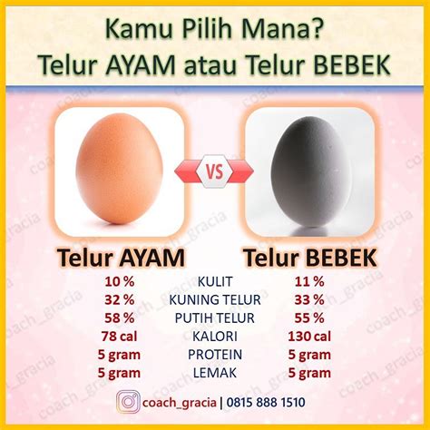 protein telur ayam vs bebek - Virginia Springer