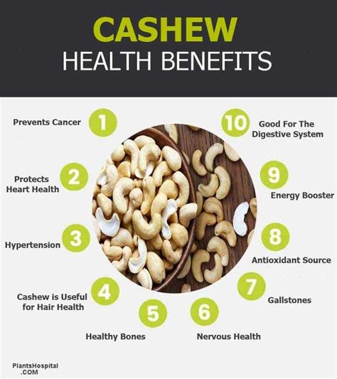 Cashew: 9 Wonderful Health Benefits Of Cashew: Uses, Warnings & More