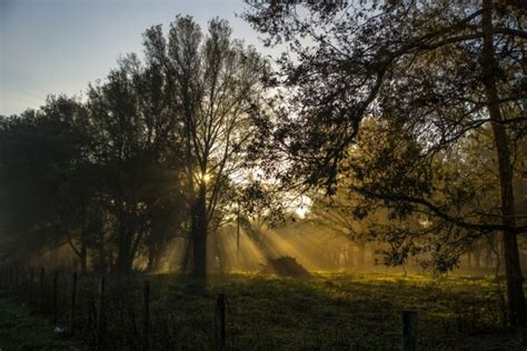 Foggy sunrise - Photorator