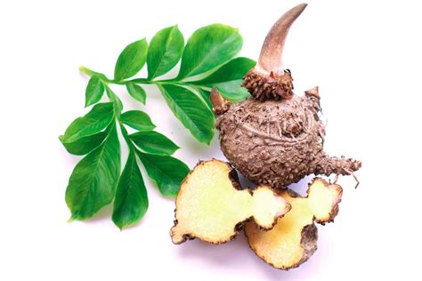 Amorphophallus Konjac Root Extract - ингридиент косметический, описание ...