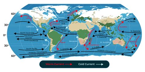 Ocean Currents - Meaning, Types, Causes, Effects