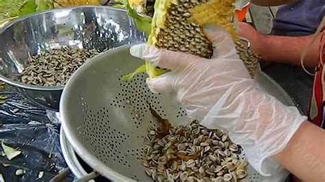 Harvesting Sunflower Seeds | Doovi