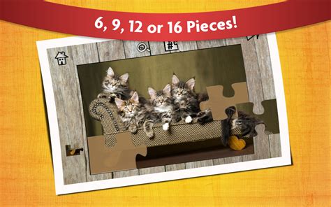 Amazon.com: Cute Cat Puzzles for Kids - Full version (Freetime Edition ...